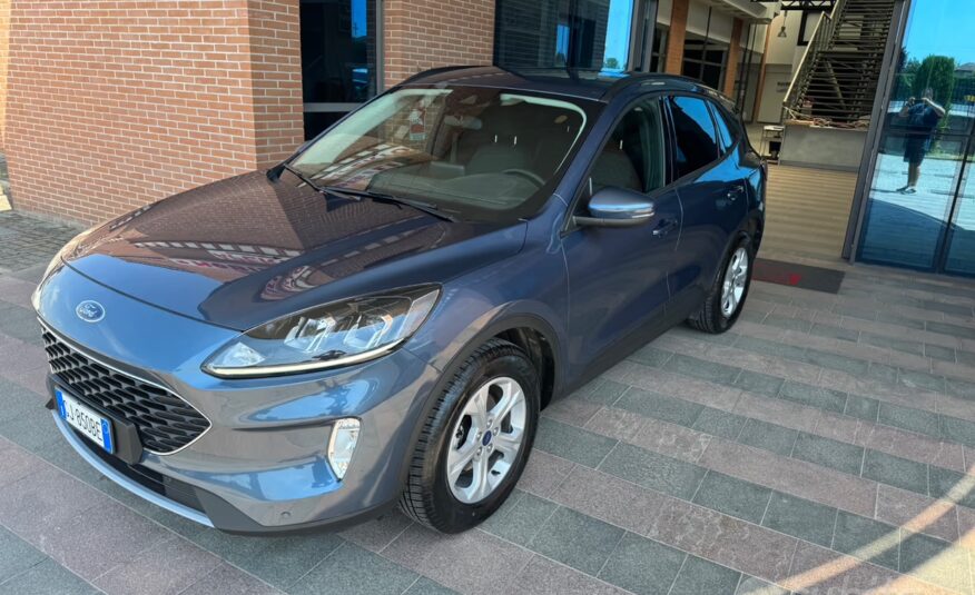 Ford Kuga 1.5 EcoBlue 120 CV 2WD Connect