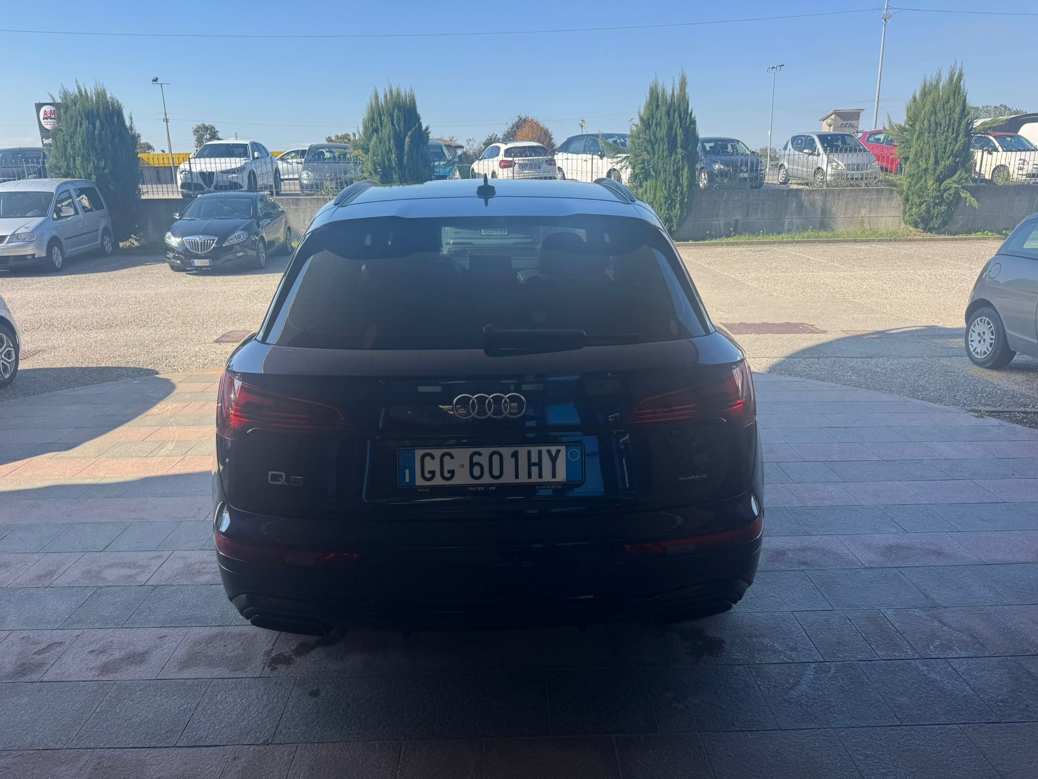 Audi Q5 40 TDI 204 CV quattro S tronic line plus